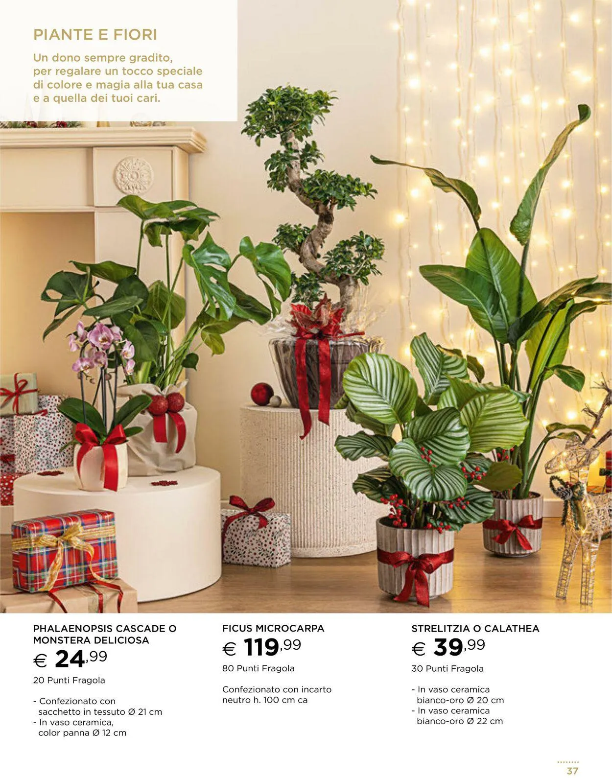 Esselunga Volantino attuale da 14 gennaio a 28 gennaio di 2026 - Pagina del volantino 37