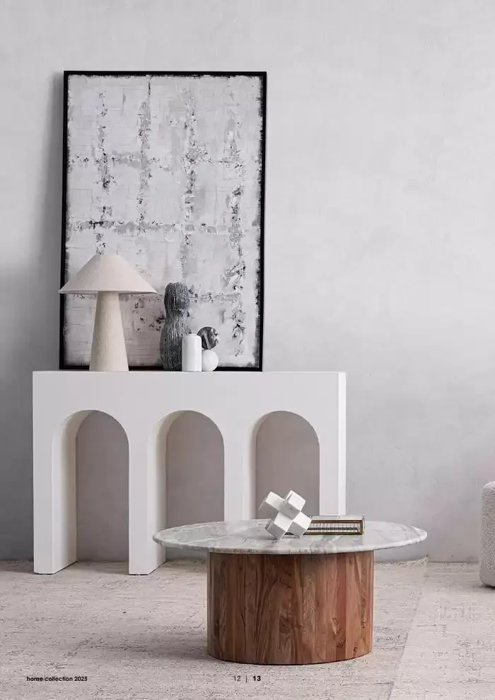 Home collection 2025 da 1 gennaio a 31 dicembre di 2025 - Pagina del volantino 14