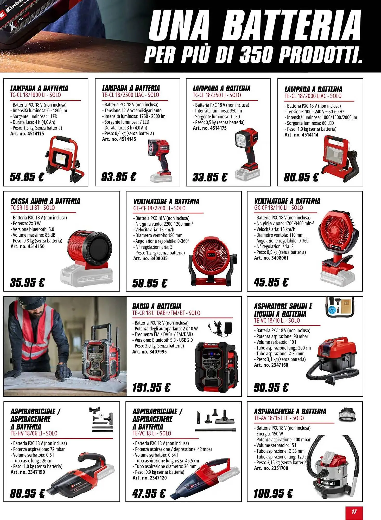 Volantino Einhell da 2 febbraio a 31 maggio di 2026 - Pagina del volantino 17