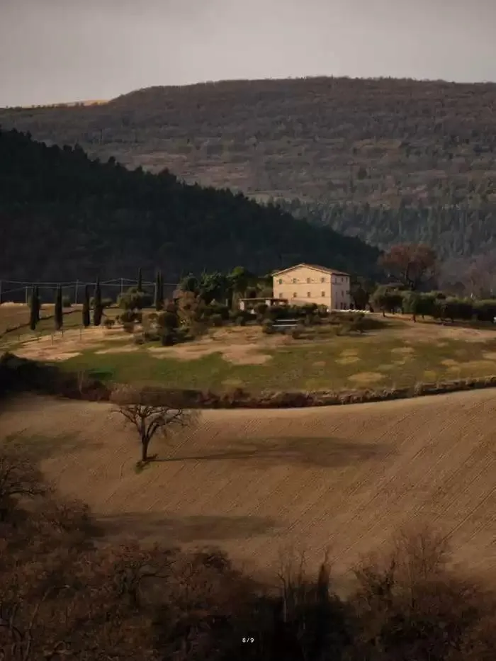 Fazzini collezione da 21 ottobre a 31 dicembre di 2025 - Pagina del volantino 12