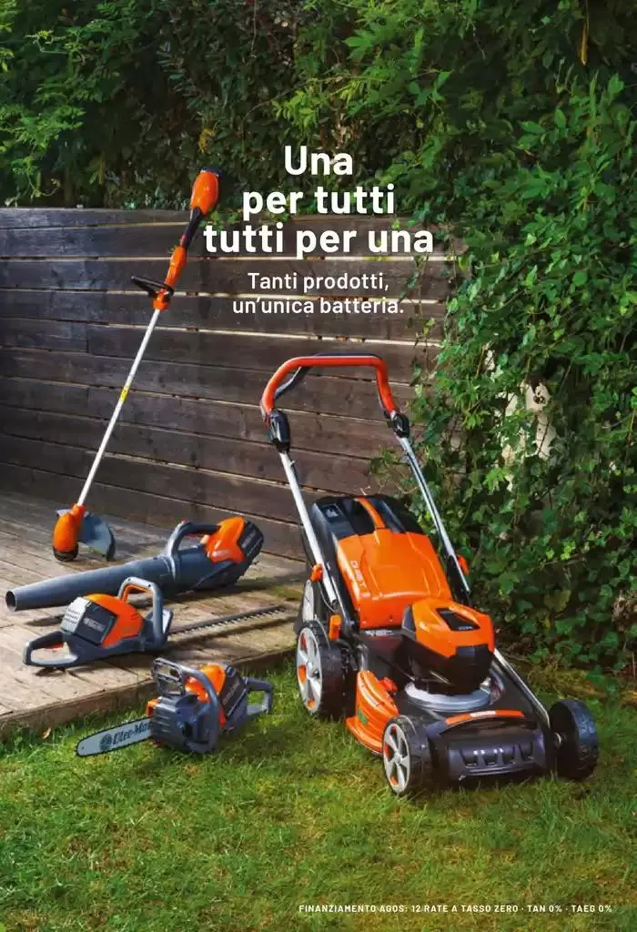 Insieme conviene! da 5 novembre a 14 febbraio di 2025 - Pagina del volantino 2