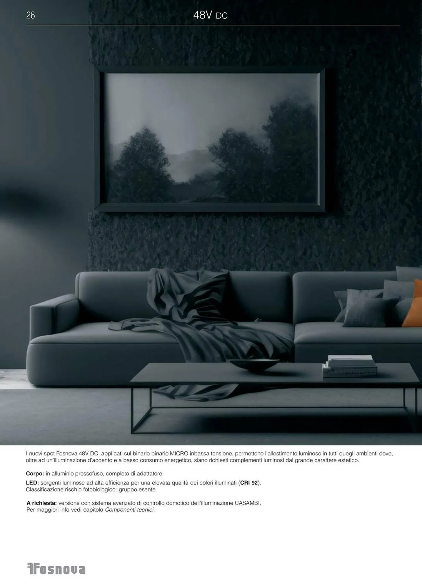 Volantino Disano da 16 gennaio a 31 ottobre di 2025 - Pagina del volantino 27