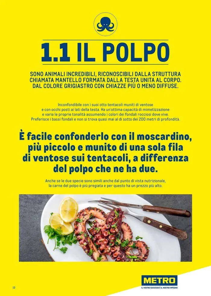 Catalogo Surgelati 2024 da 21 maggio a 31 maggio di 2025 - Pagina del volantino 13