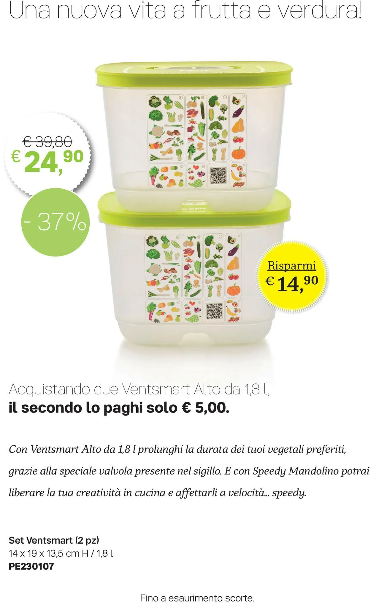 Tupperware Volantino attuale da 31 marzo a 6 febbraio di 2024 - Pagina del volantino 2