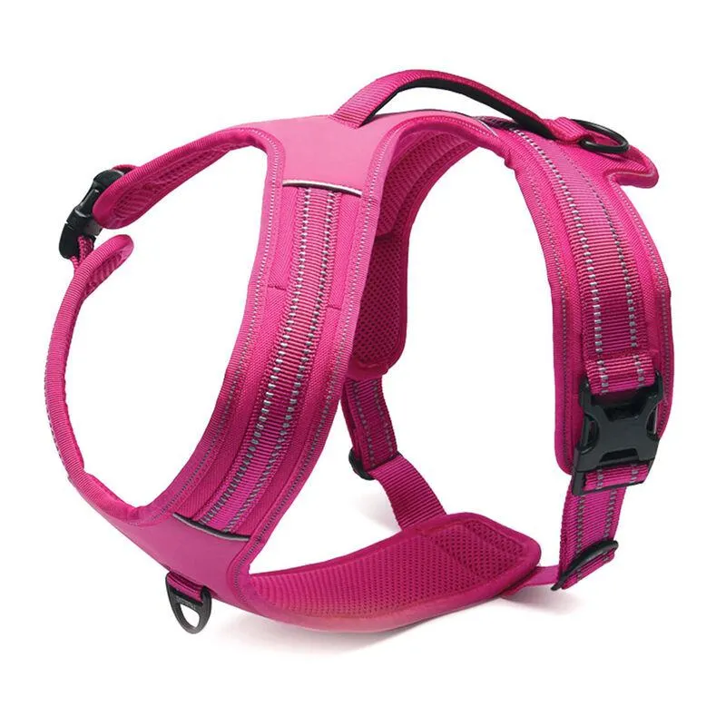 PetUp Pettorina Sport L 70x95 cm Fucsia 000151083