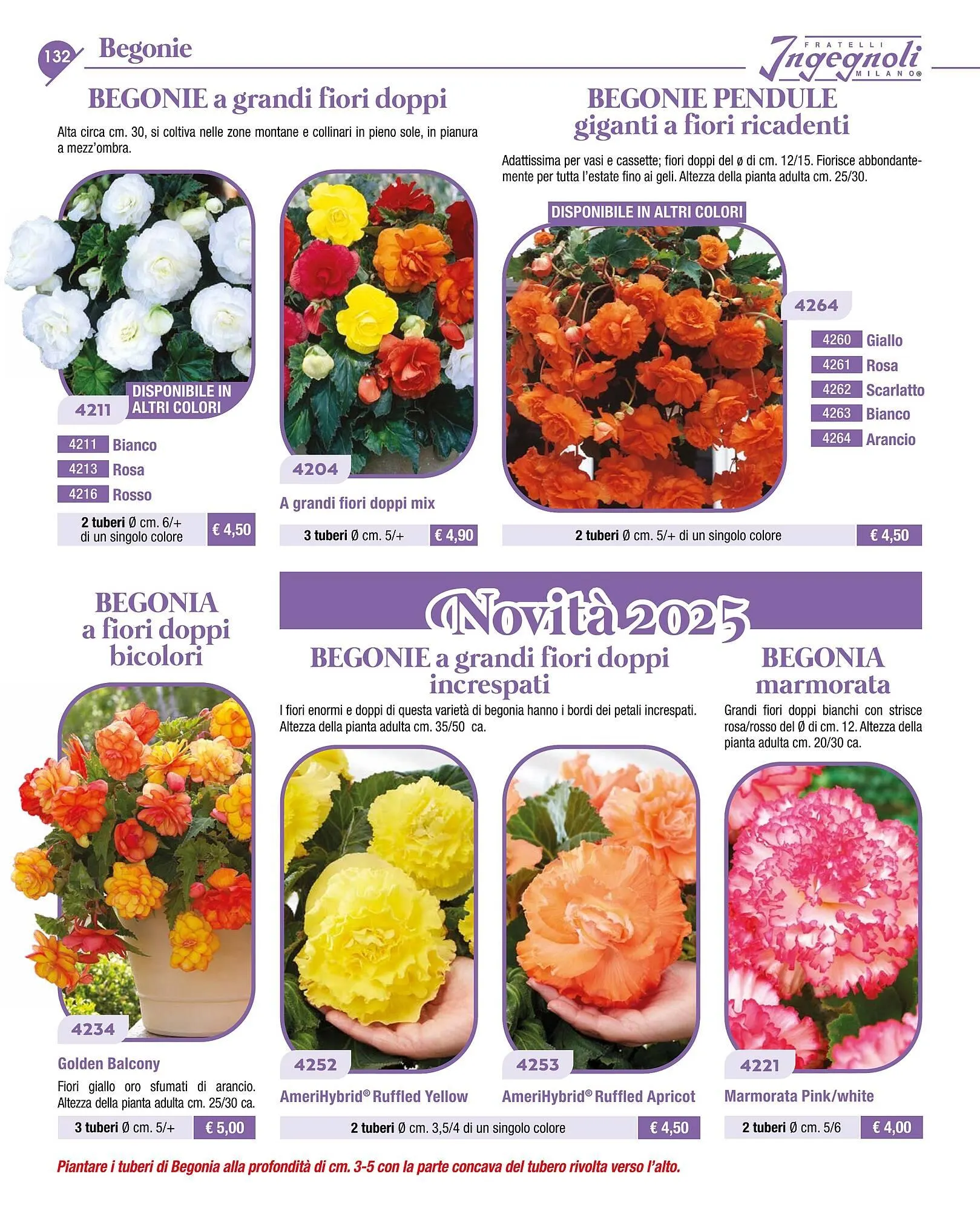 Volantino Ingegnoli da 4 novembre a 31 dicembre di 2025 - Pagina del volantino 134