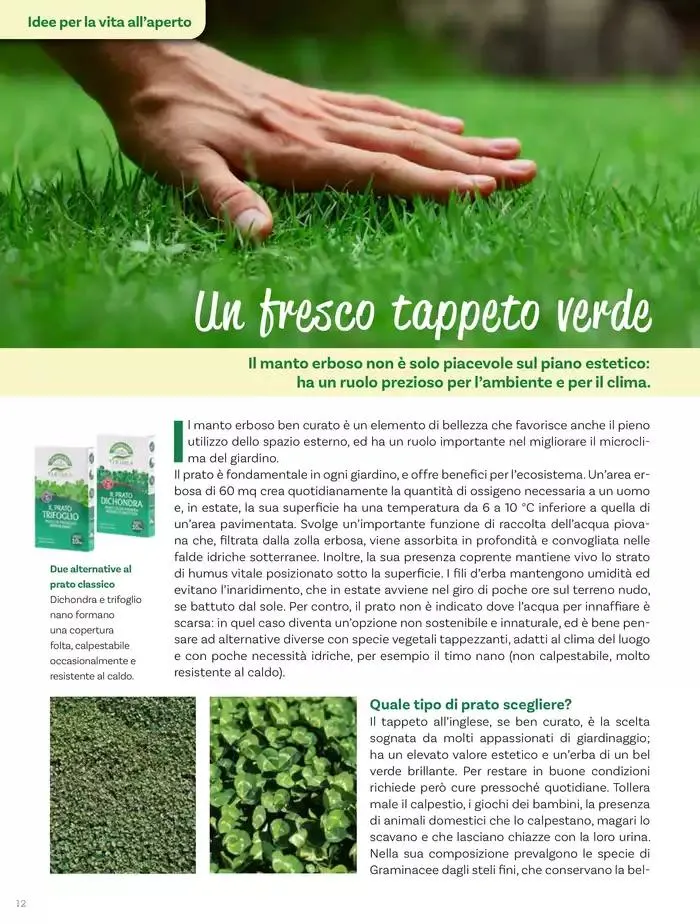 Idee per la vita all' aperto da 18 aprile a 18 maggio di 2025 - Pagina del volantino 12