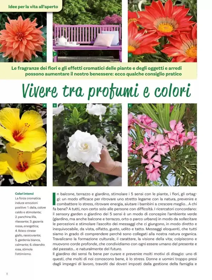 Idee per la vita all' aperto da 18 aprile a 18 maggio di 2025 - Pagina del volantino 8