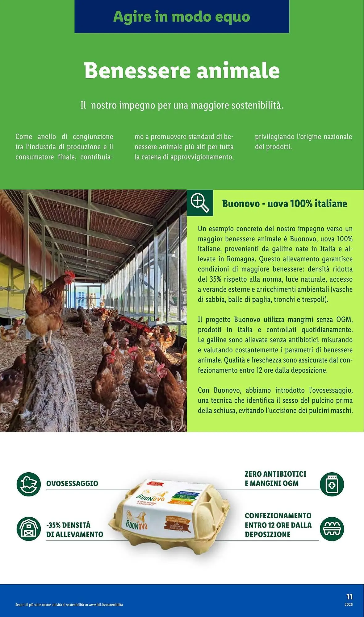 Volantino Lidl da 29 gennaio a 28 febbraio di 2026 - Pagina del volantino 11