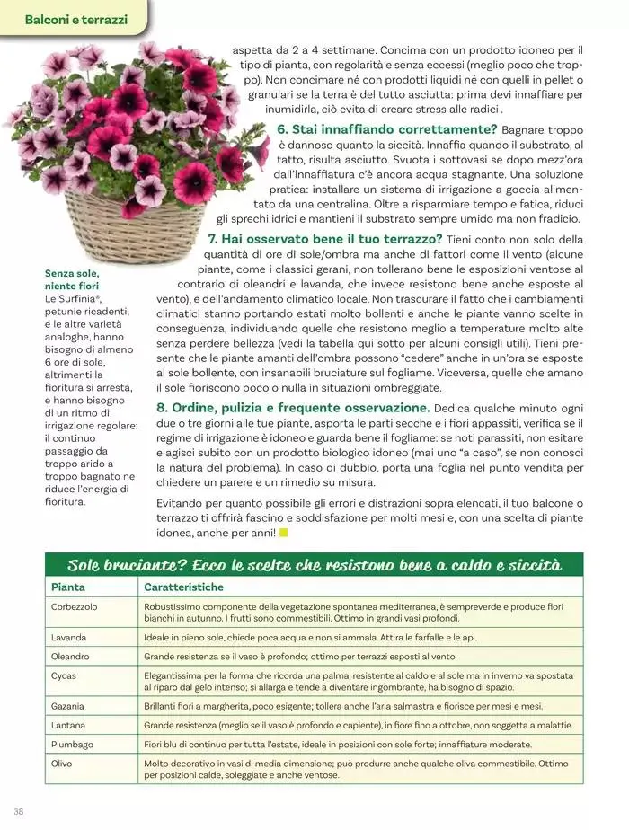 Idee per la vita all' aperto da 18 aprile a 18 maggio di 2025 - Pagina del volantino 38