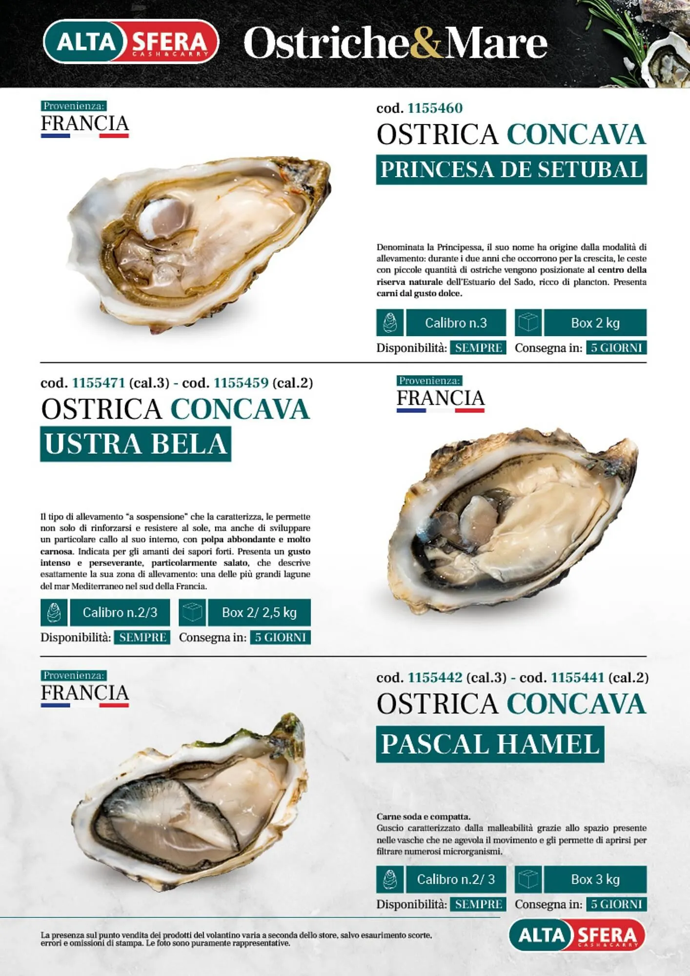 Volantino Altasfera da 14 aprile a 31 dicembre di 2025 - Pagina del volantino 7