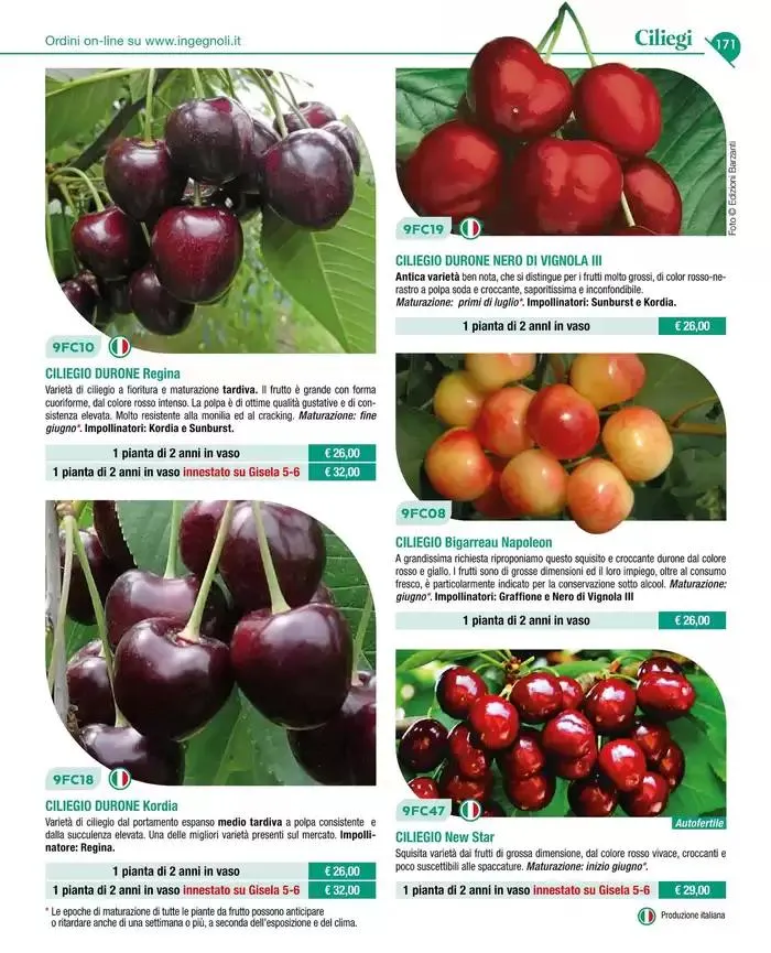 Catalogo guida 2025 da 20 gennaio a 31 dicembre di 2025 - Pagina del volantino 173