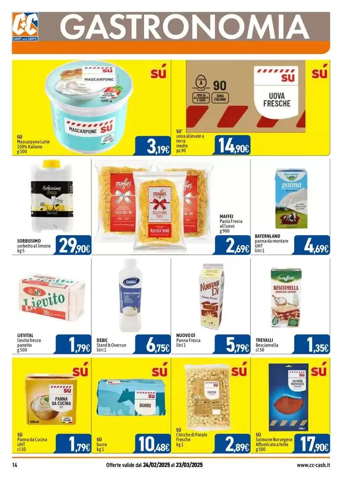 PROFESSIONAL da 24 febbraio a 23 marzo di 2025 - Pagina del volantino 14