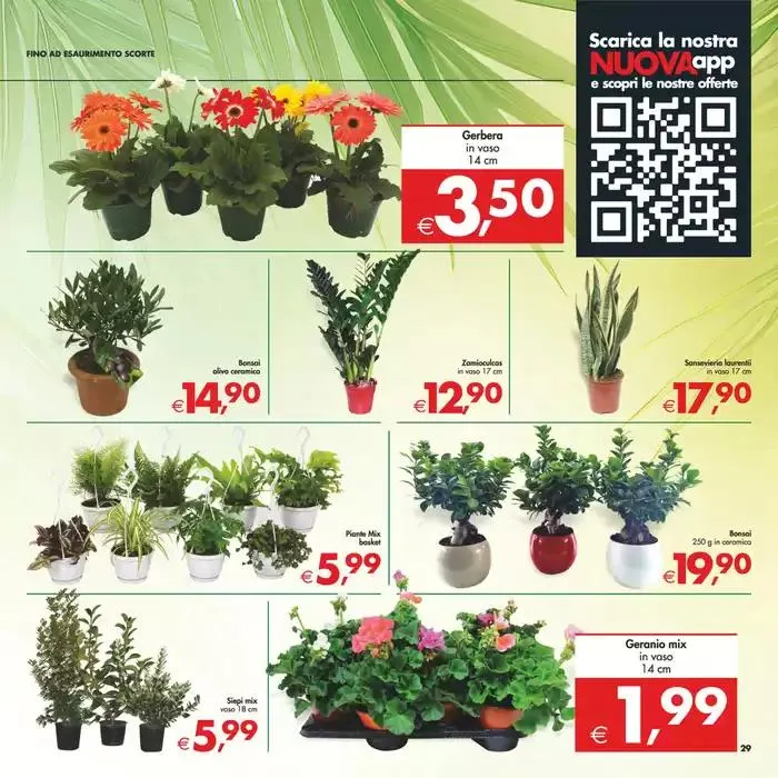 Profumo di primavera. da 11 marzo a 20 marzo di 2025 - Pagina del volantino 29