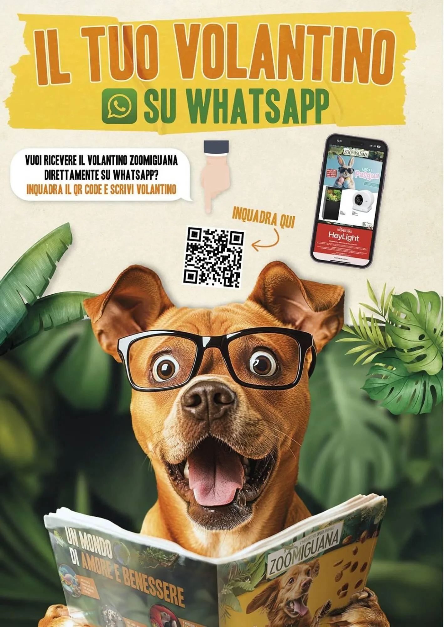 Volantino Zoomiguana da 8 maggio a 1 giugno di 2025 - Pagina del volantino 12