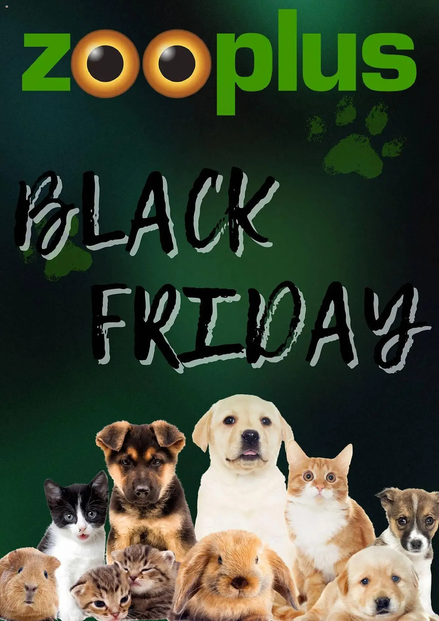 Volantino Zooplus da 20 novembre a 30 novembre di 2025 - Pagina del volantino 1