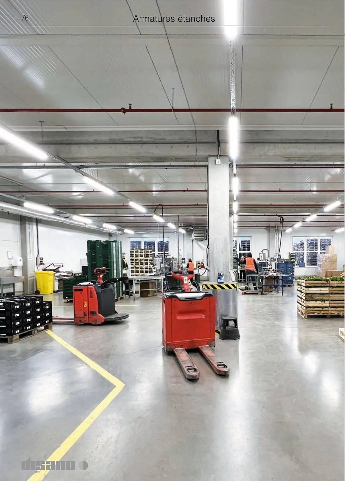 Volantino Disano da 8 marzo a 26 aprile di 2025 - Pagina del volantino 104