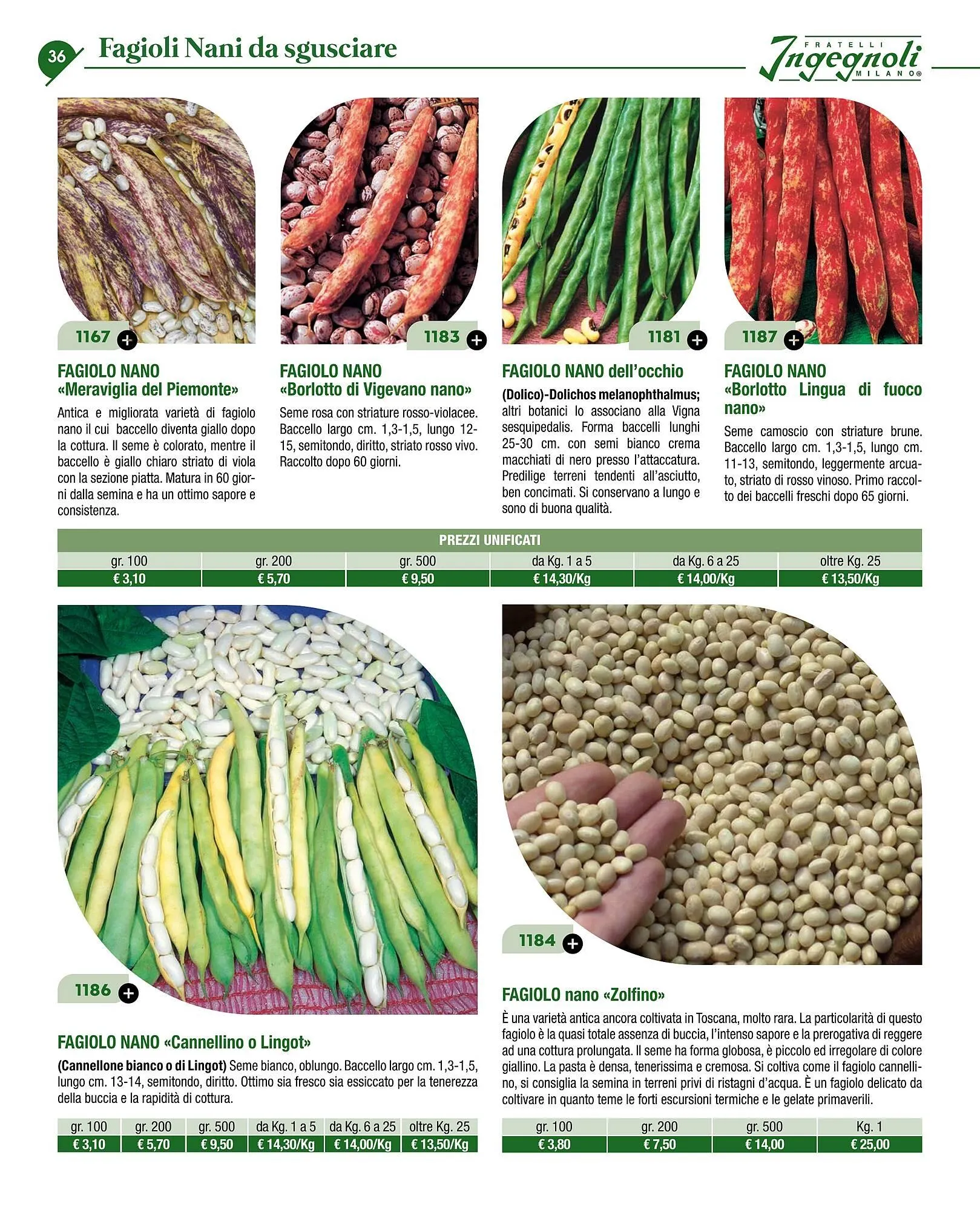 Volantino Ingegnoli da 4 novembre a 31 dicembre di 2025 - Pagina del volantino 38