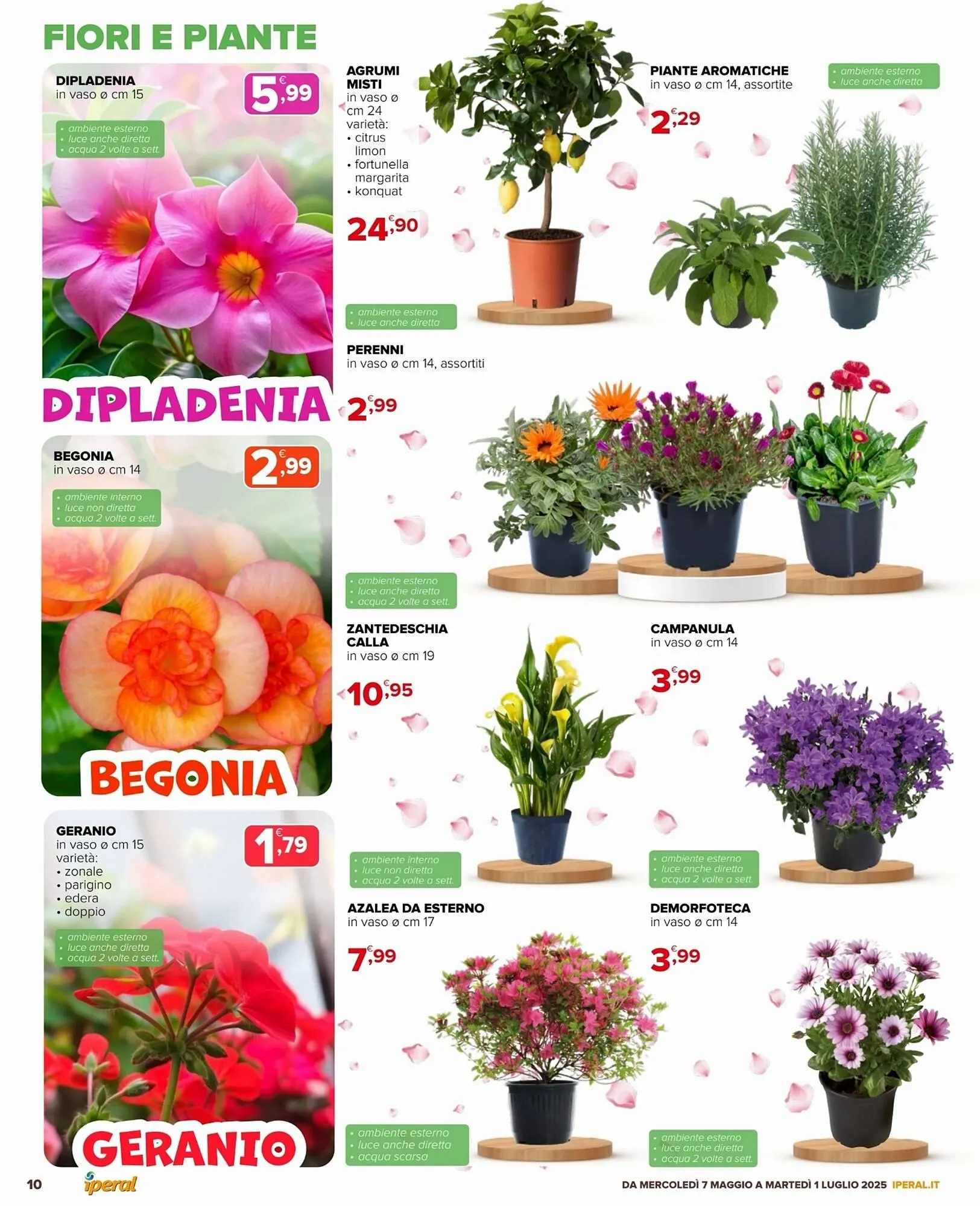 Volantino Iperal da 7 maggio a 1 luglio di 2025 - Pagina del volantino 10