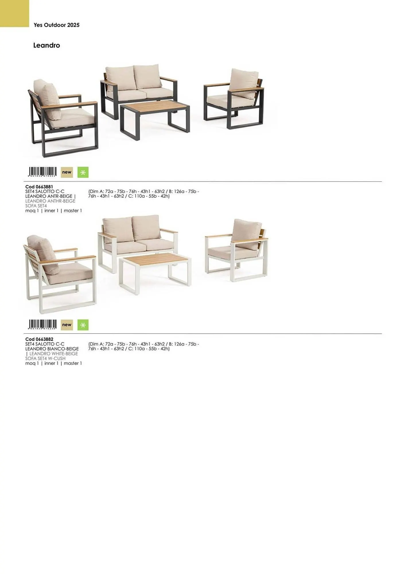 Volantino Bizzotto da 21 gennaio a 31 dicembre di 2025 - Pagina del volantino 41