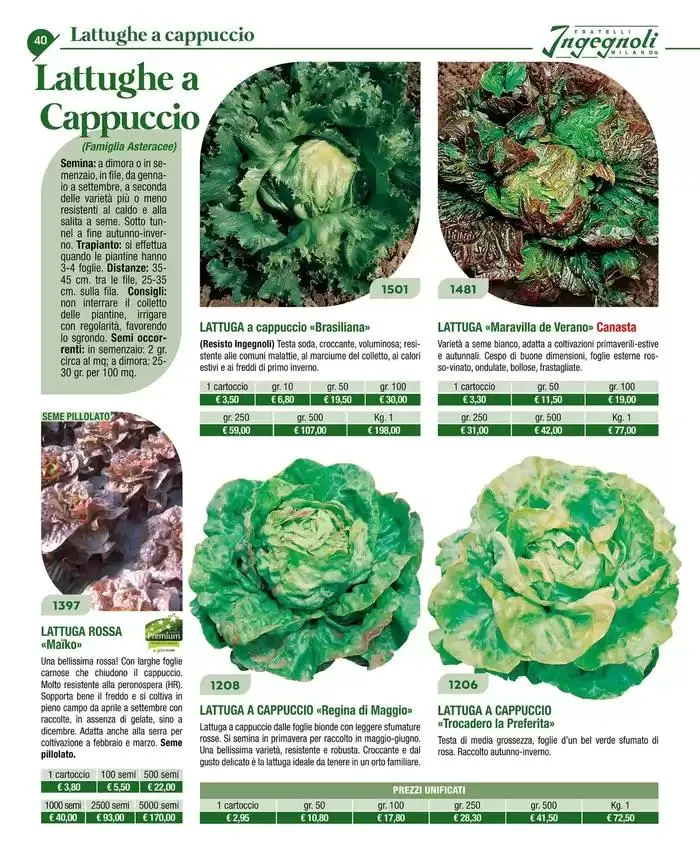 Catalogo guida 2025 da 20 gennaio a 31 dicembre di 2025 - Pagina del volantino 42