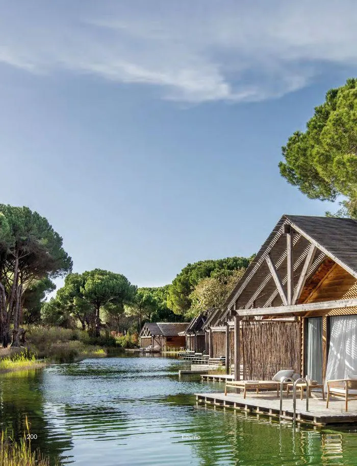 Outdoor decor collections 2024 da 1 febbraio a 30 giugno di 2024 - Pagina del volantino 202