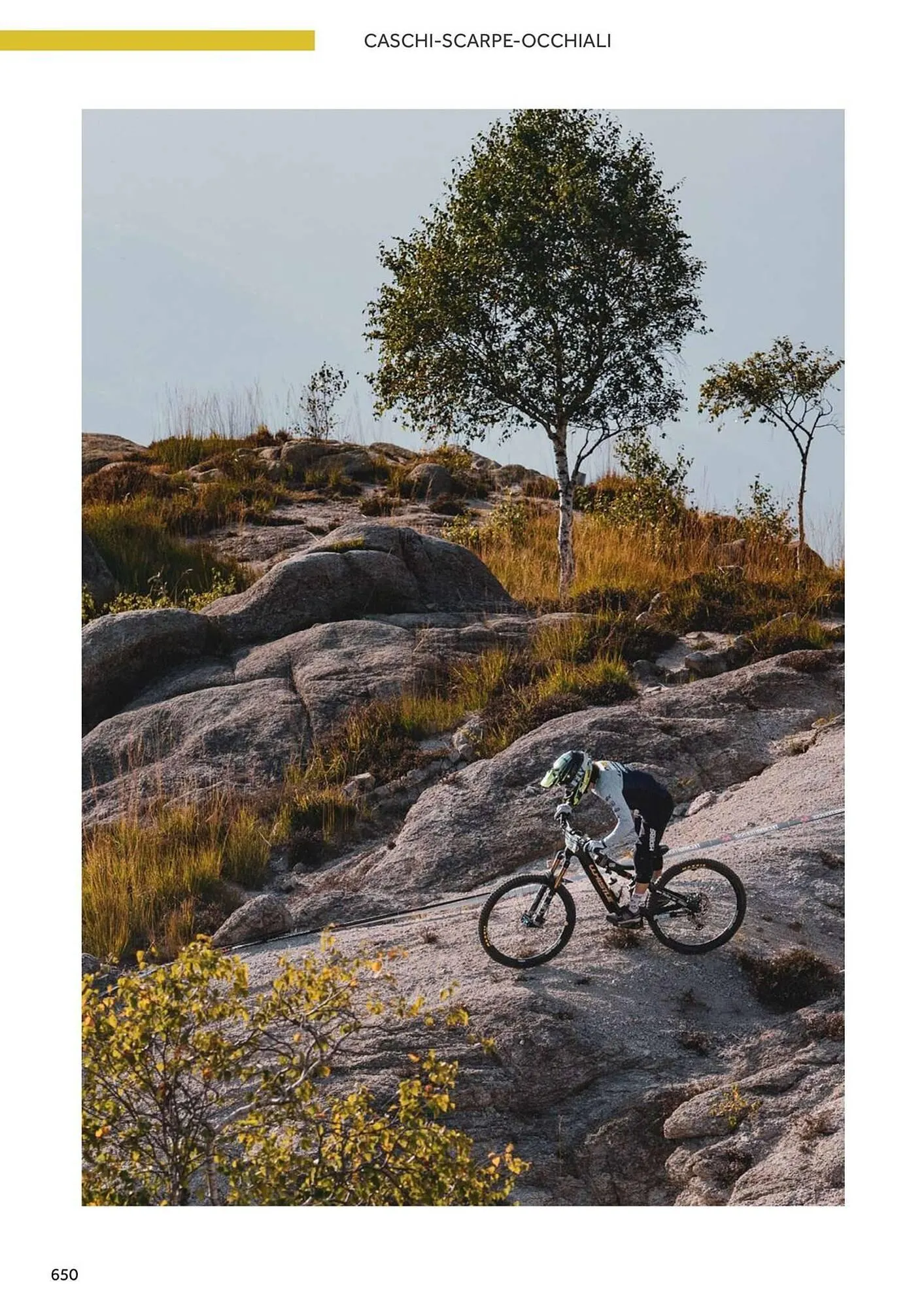 Volantino Atala da 20 novembre a 31 dicembre di 2025 - Pagina del volantino 658