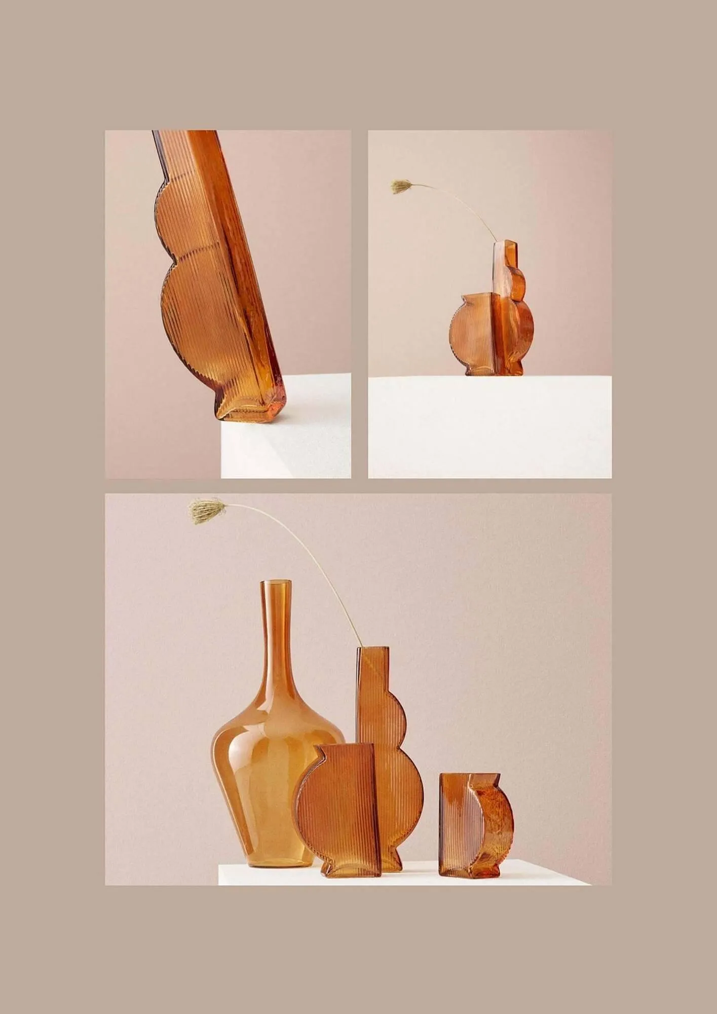 Volantino Bizzotto da 21 gennaio a 31 dicembre di 2025 - Pagina del volantino 6