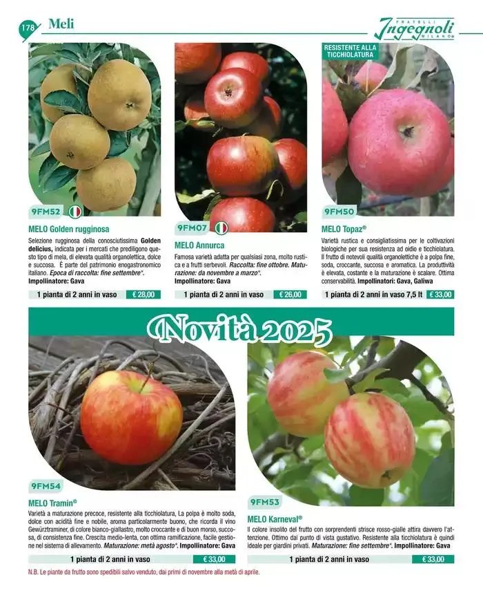 Catalogo guida 2025 da 20 gennaio a 31 dicembre di 2025 - Pagina del volantino 180