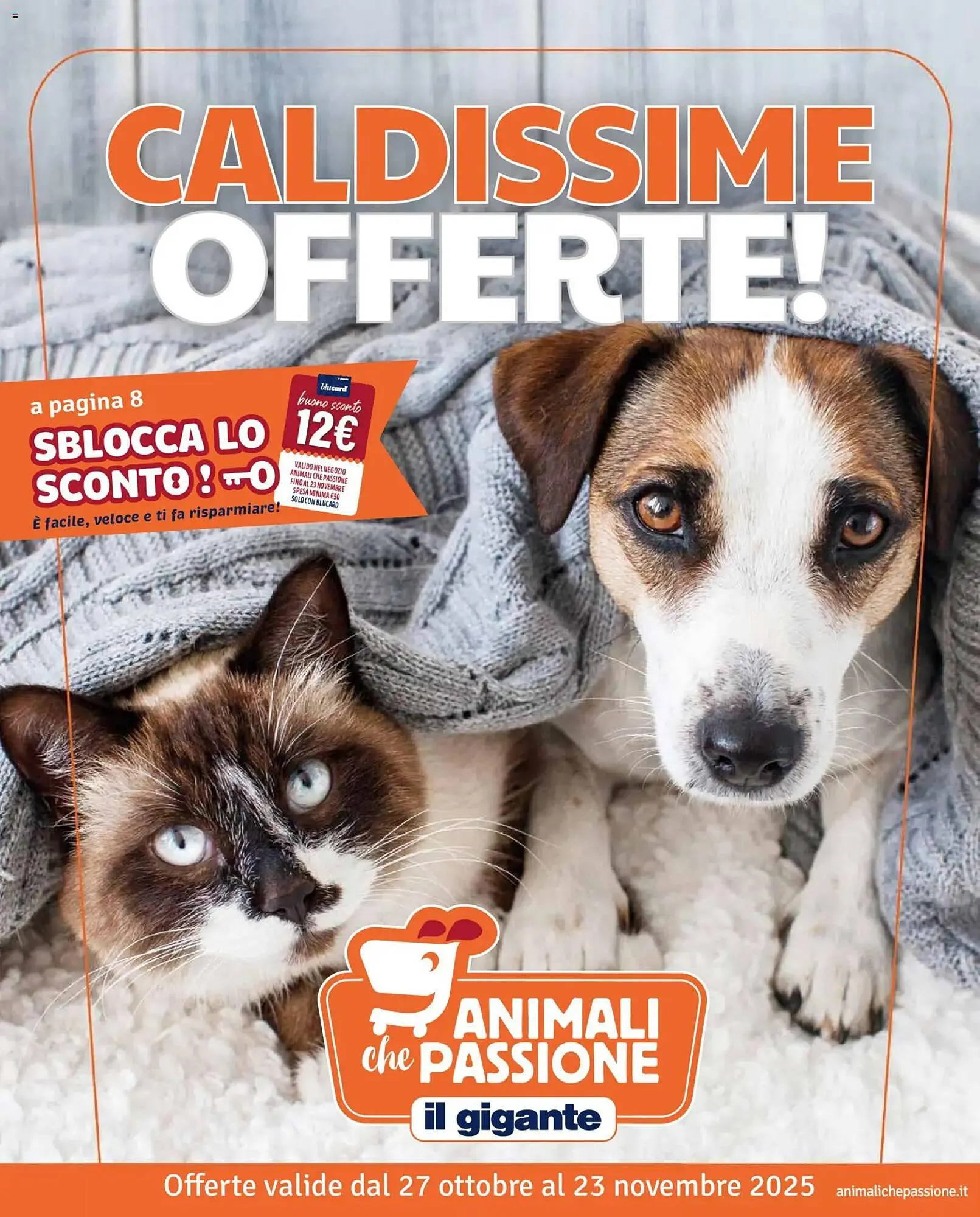 Volantino Il Gigante - 1