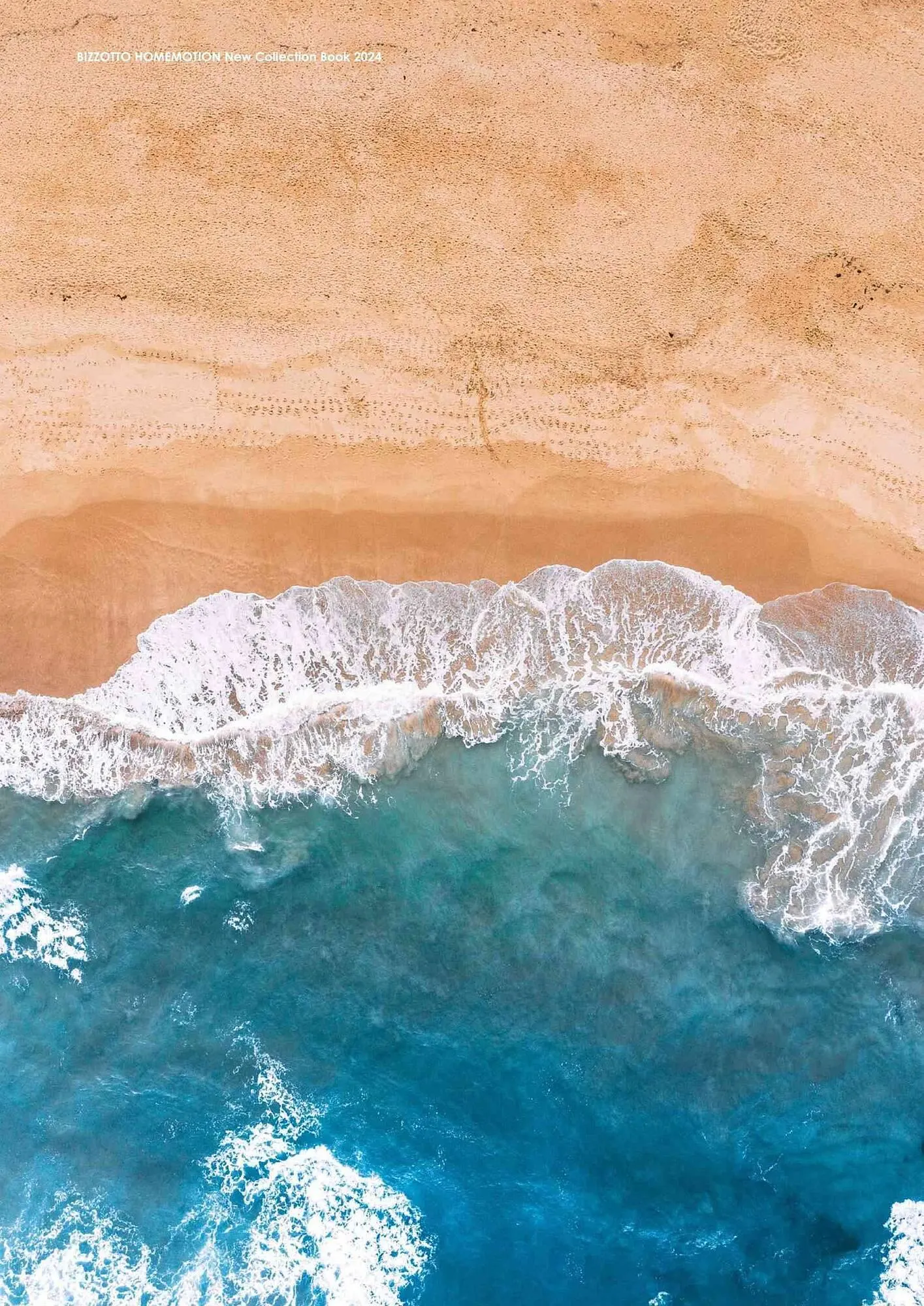 Volantino Bizzotto da 7 febbraio a 28 dicembre di 2024 - Pagina del volantino 7