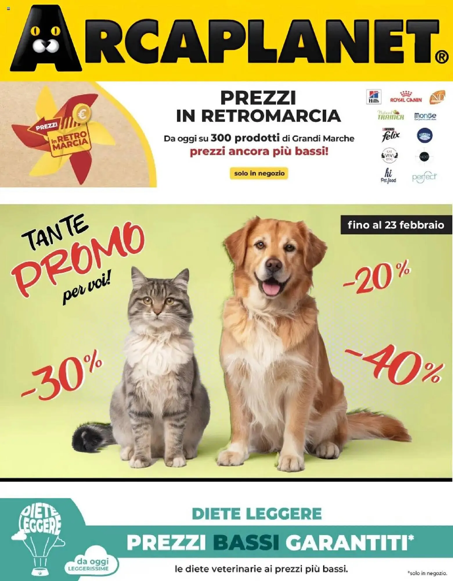 Volantino Arcaplanet - 1