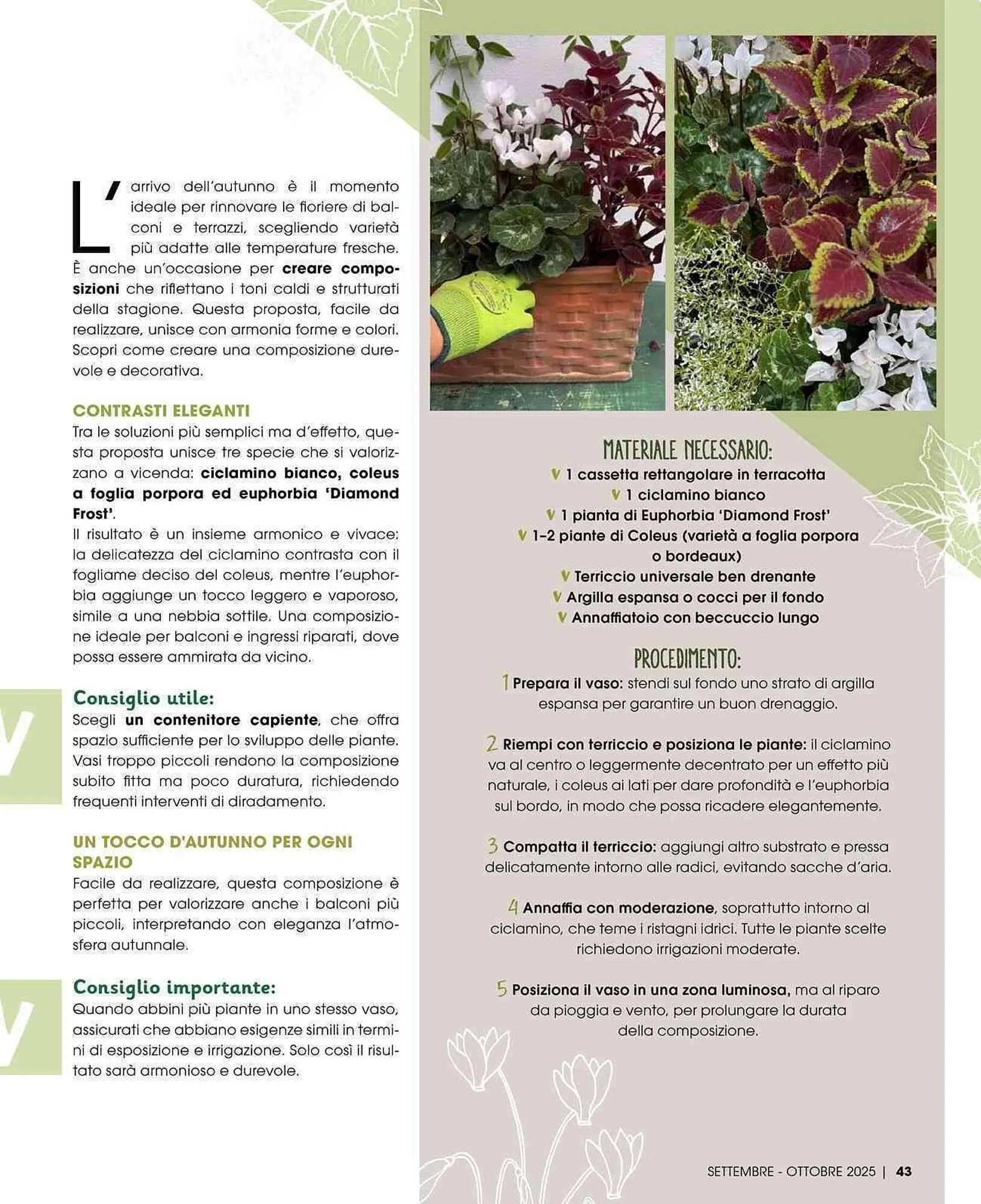 Volantino A&O da 1 settembre a 31 ottobre di 2025 - Pagina del volantino 44