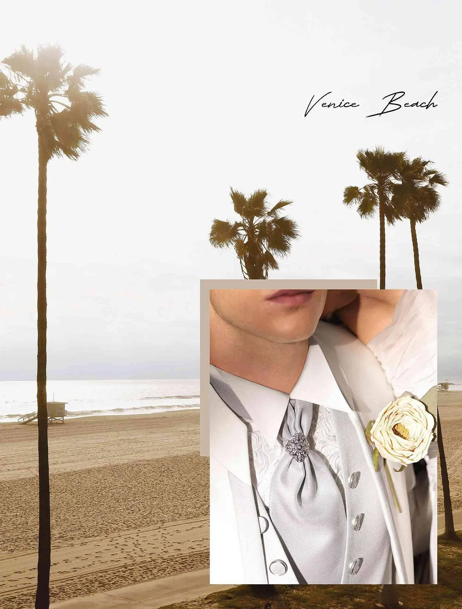 Volantino Carlo Pignatelli da 1 febbraio a 15 febbraio di 2024 - Pagina del volantino 61