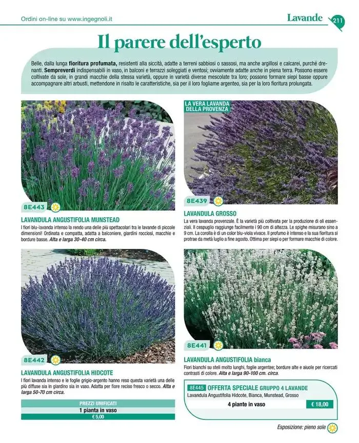 Catalogo guida 2025 da 20 gennaio a 31 dicembre di 2025 - Pagina del volantino 213