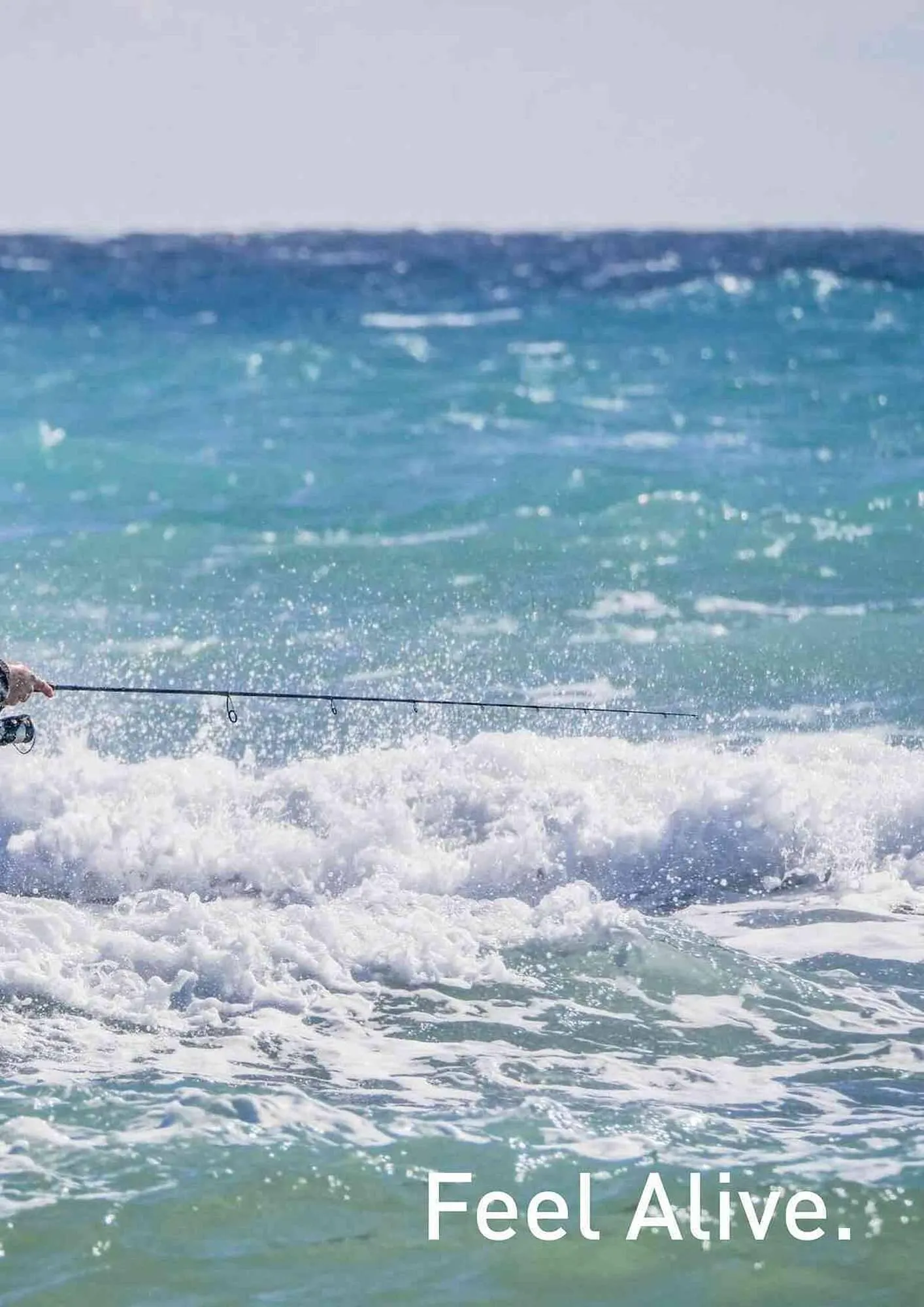 Volantino Daiwa da 4 febbraio a 31 dicembre di 2025 - Pagina del volantino 197