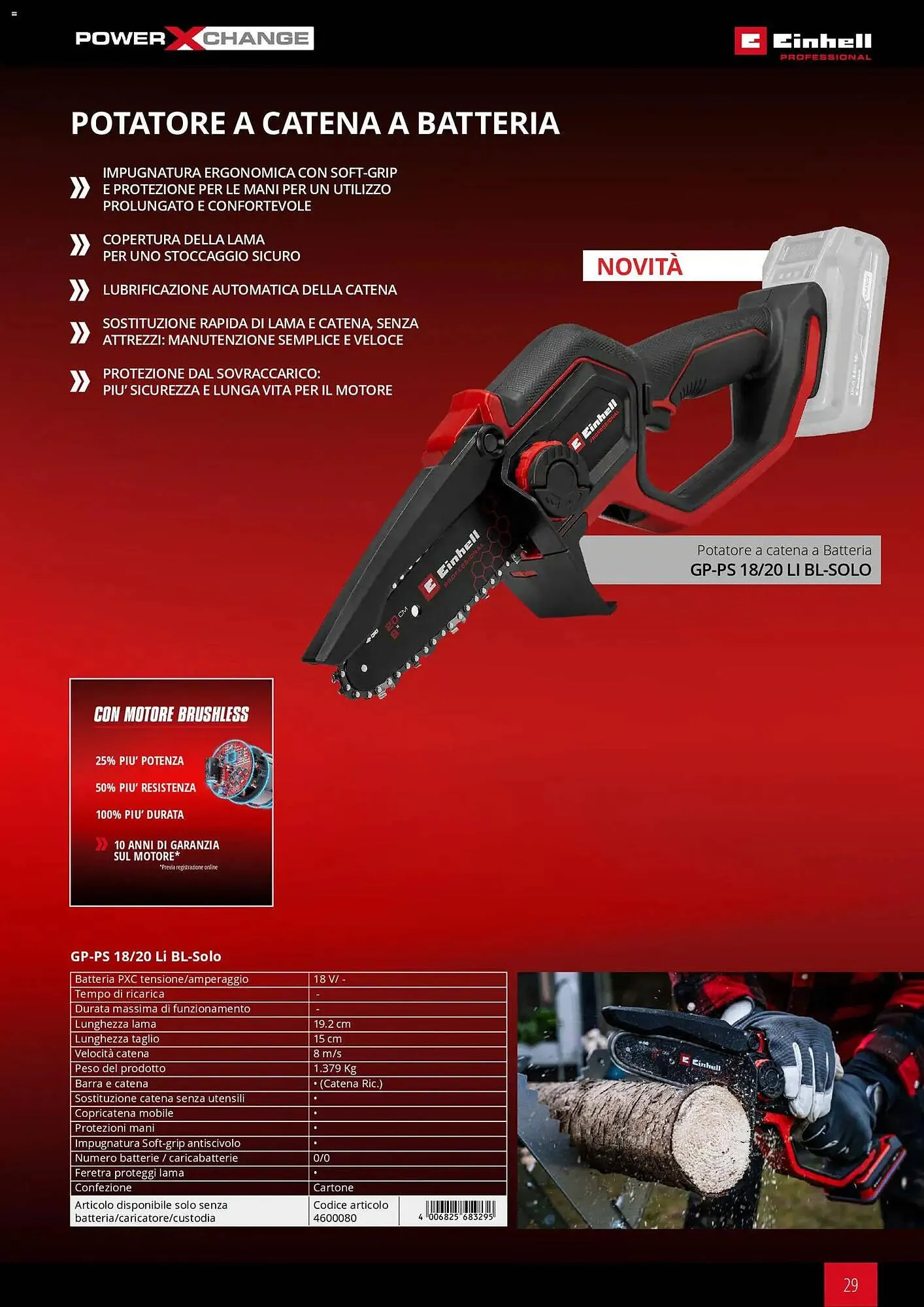 Volantino Einhell da 17 marzo a 31 dicembre di 2026 - Pagina del volantino 31