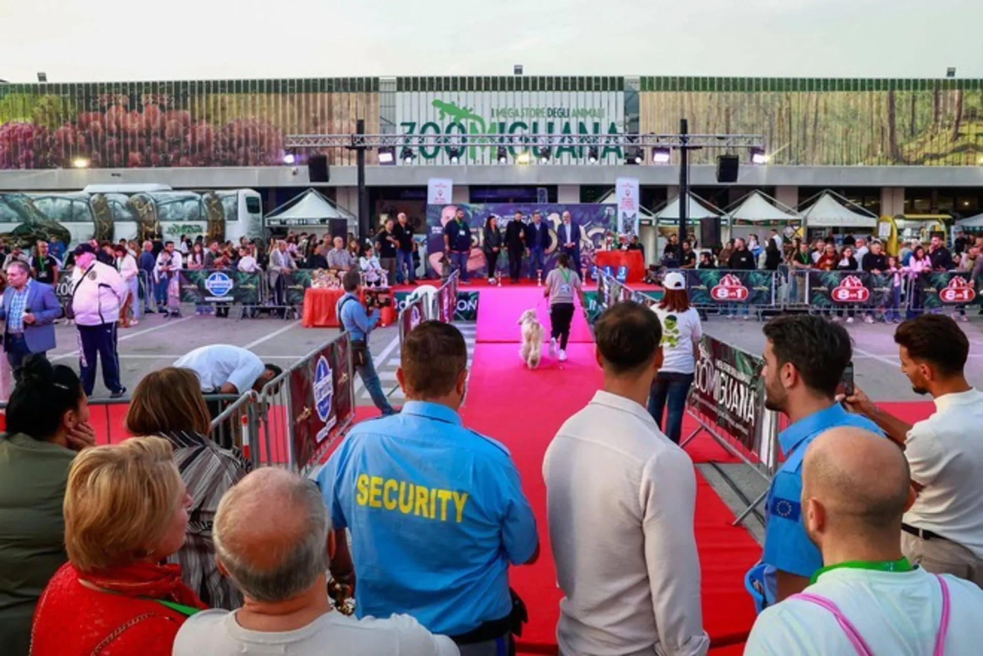 Volantino Zoomiguana da 9 novembre a 23 novembre di 2025 - Pagina del volantino 2