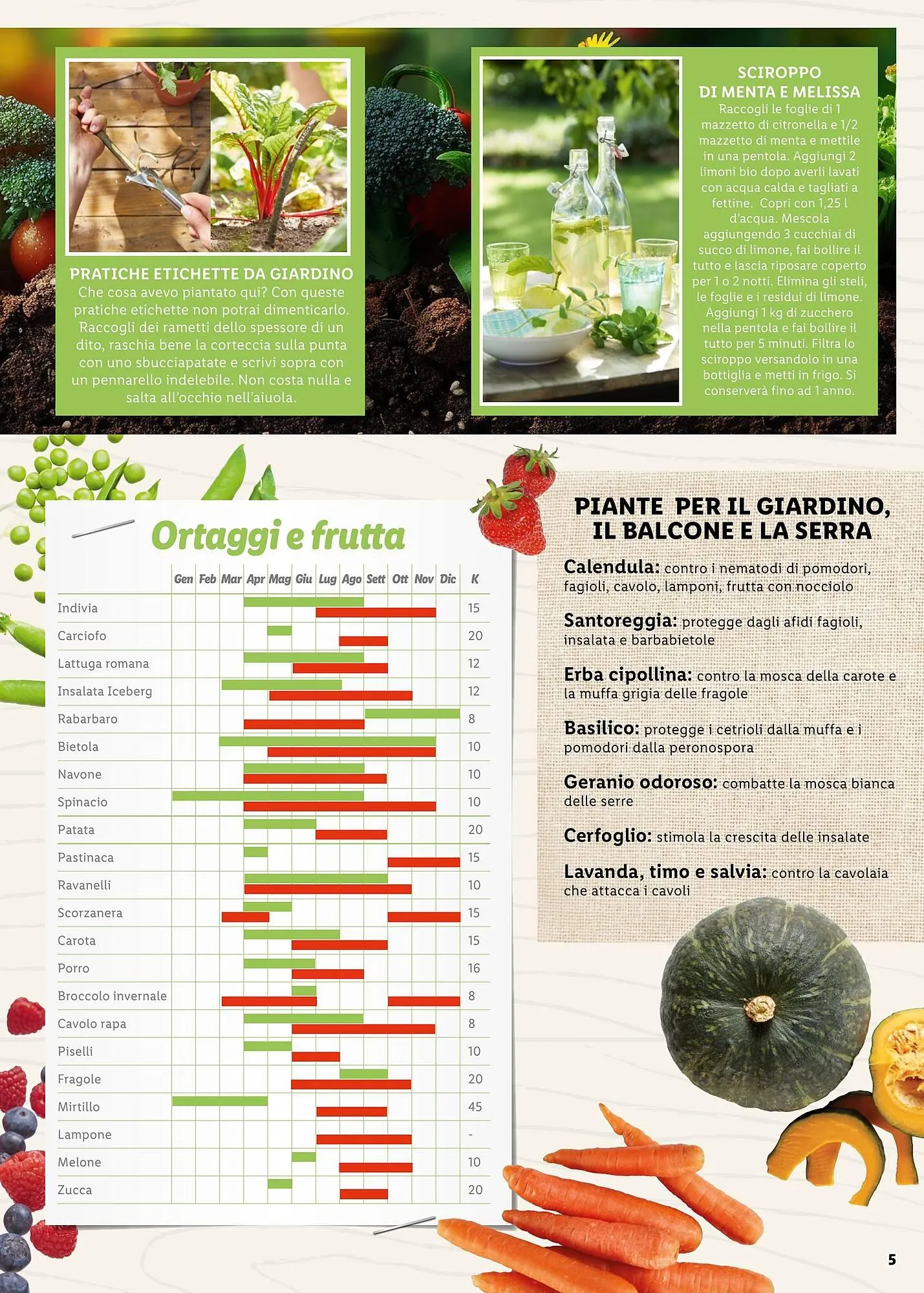 Volantino Lidl da 4 aprile a 31 maggio di 2025 - Pagina del volantino 5