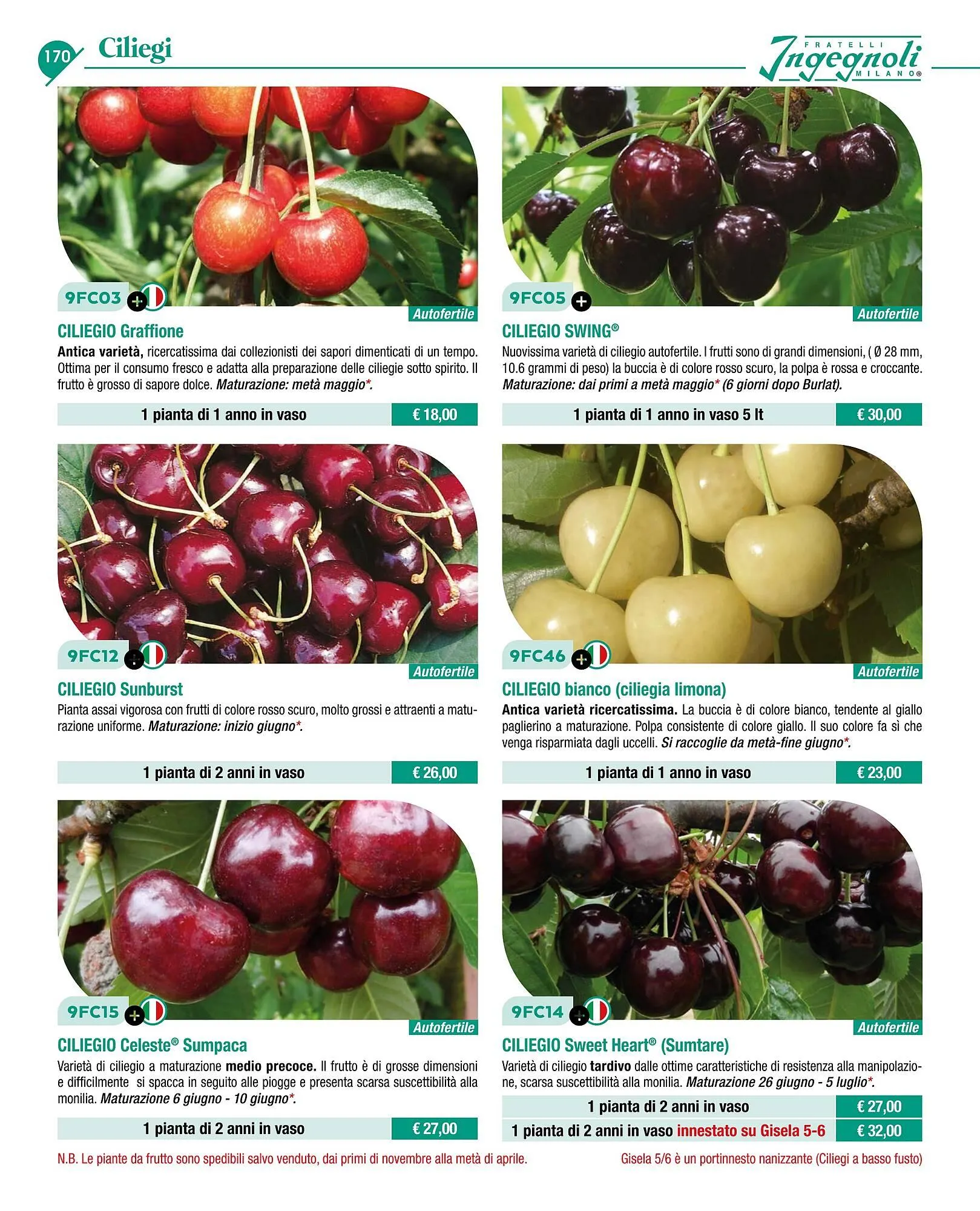 Volantino Ingegnoli da 4 novembre a 31 dicembre di 2025 - Pagina del volantino 172