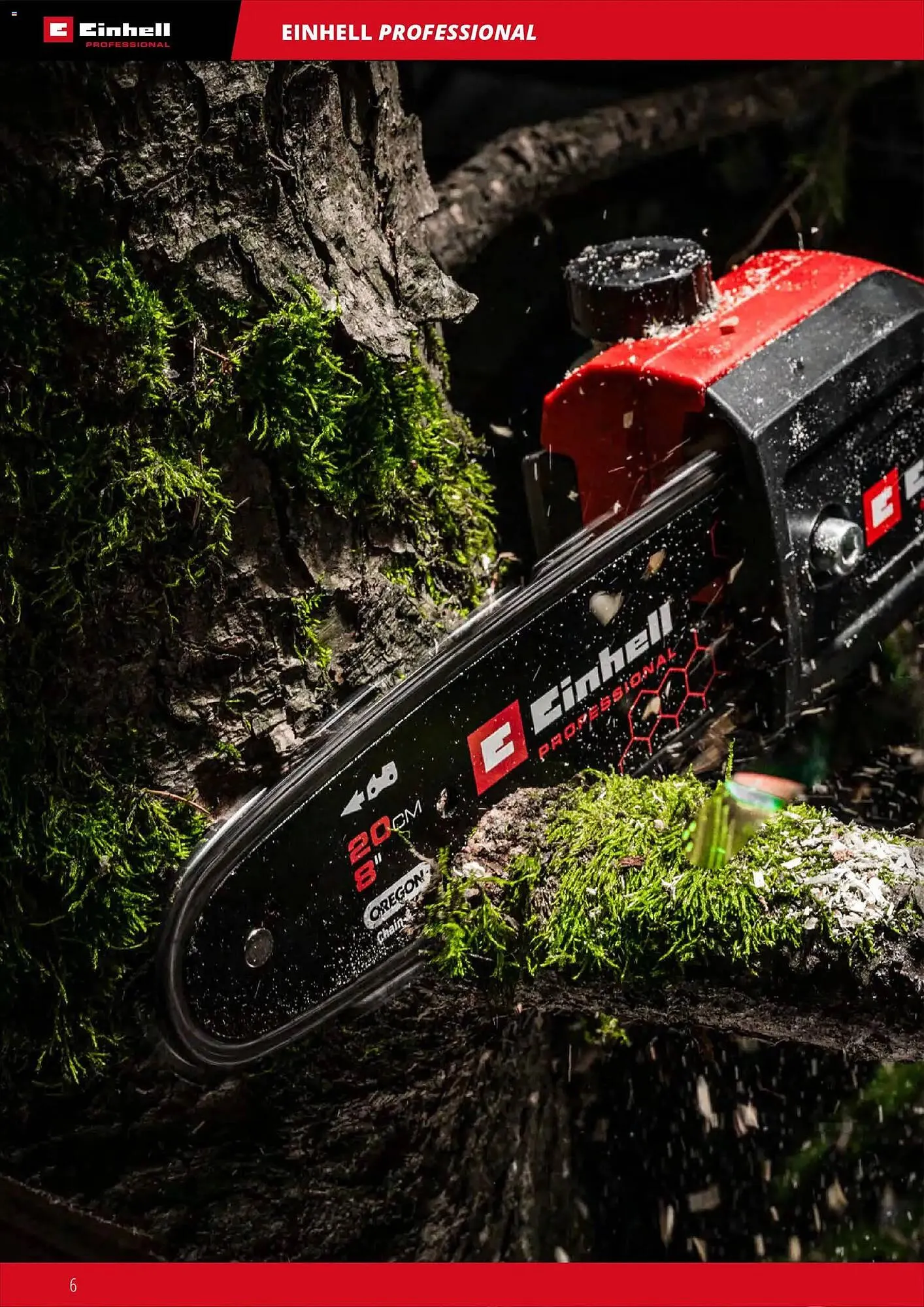 Volantino Einhell da 2 marzo a 30 settembre di 2026 - Pagina del volantino 8