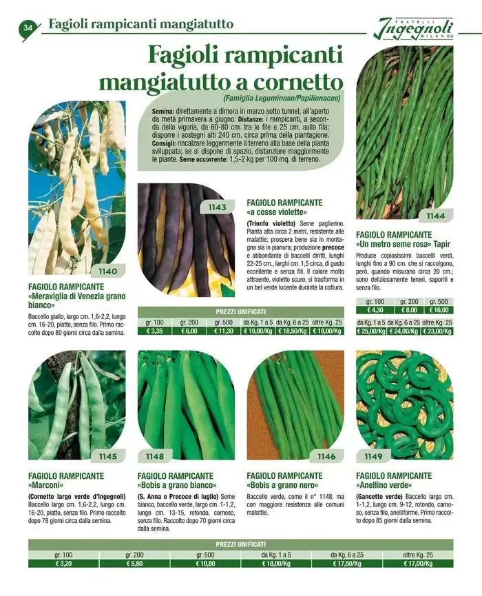 Catalogo guida 2025 da 20 gennaio a 31 dicembre di 2025 - Pagina del volantino 36