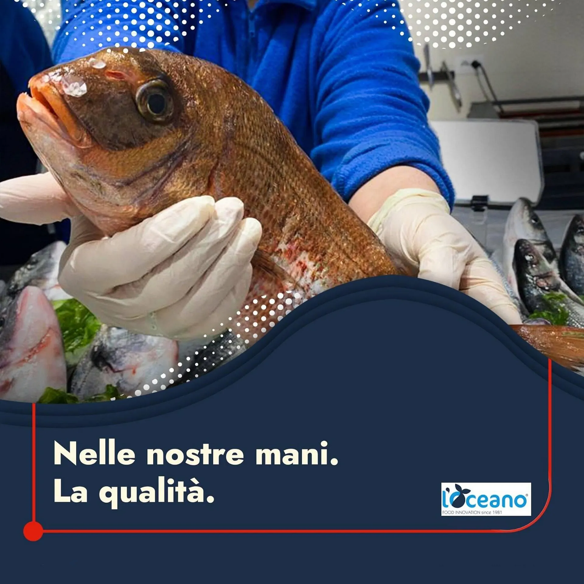 Volantino Oceano Surgelati da 30 aprile a 11 maggio di 2024 - Pagina del volantino 2