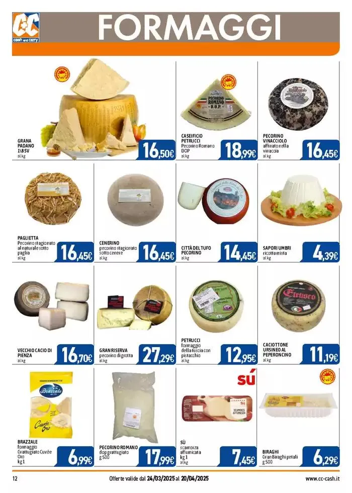 PROFESSIONAL da 24 marzo a 20 aprile di 2025 - Pagina del volantino 12