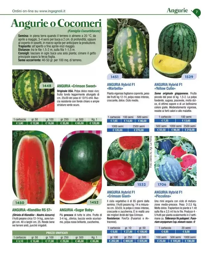 Catalogo guida 2025 da 20 gennaio a 31 dicembre di 2025 - Pagina del volantino 9