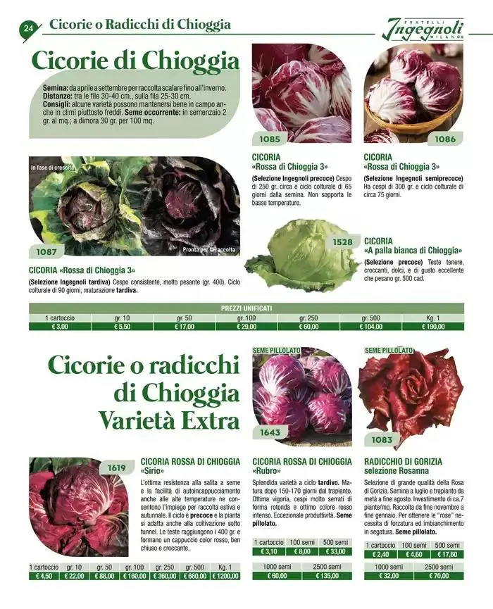 Catalogo guida 2025 da 20 gennaio a 31 dicembre di 2025 - Pagina del volantino 26