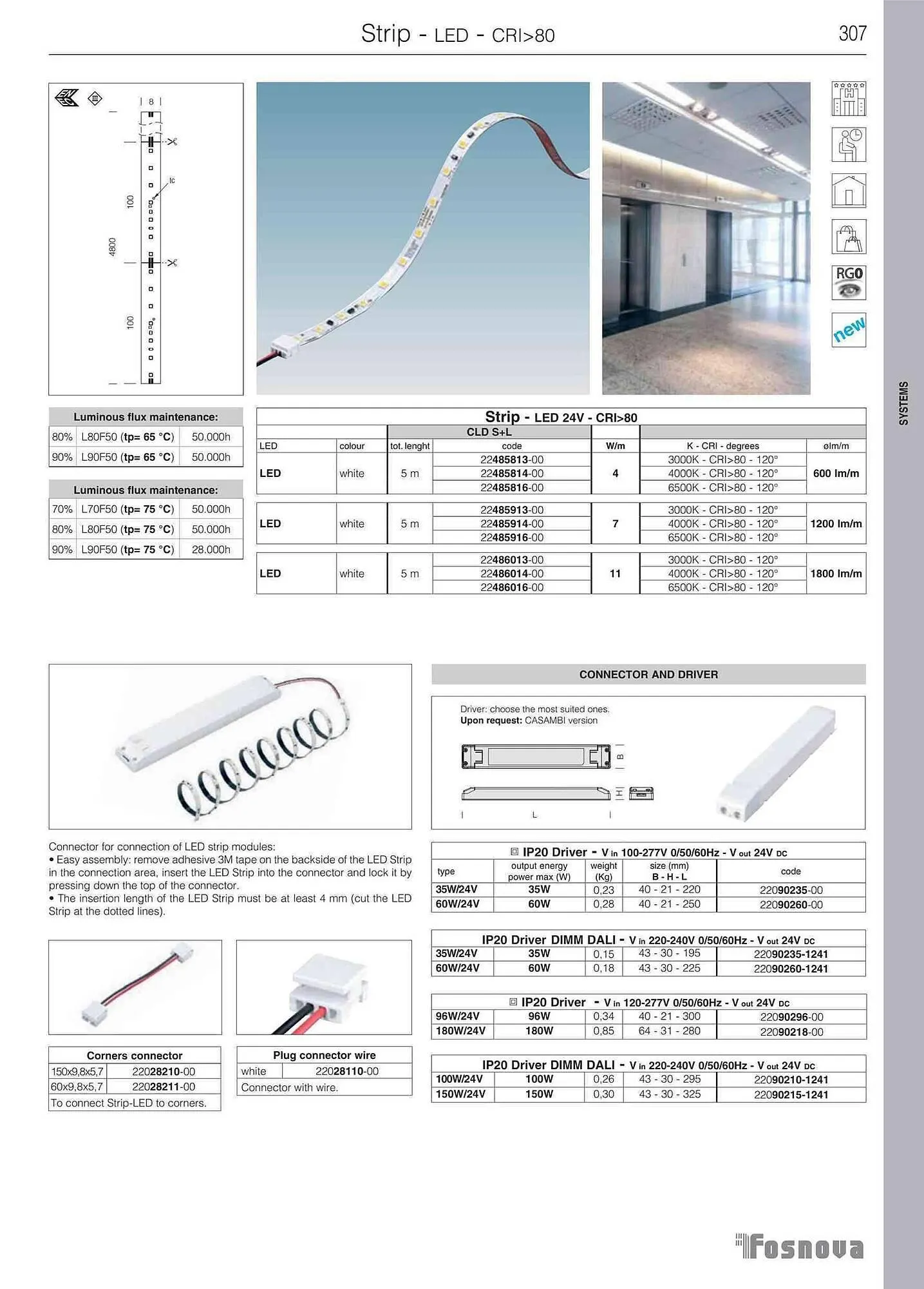 Volantino Disano da 12 giugno a 31 gennaio di 2024 - Pagina del volantino 309