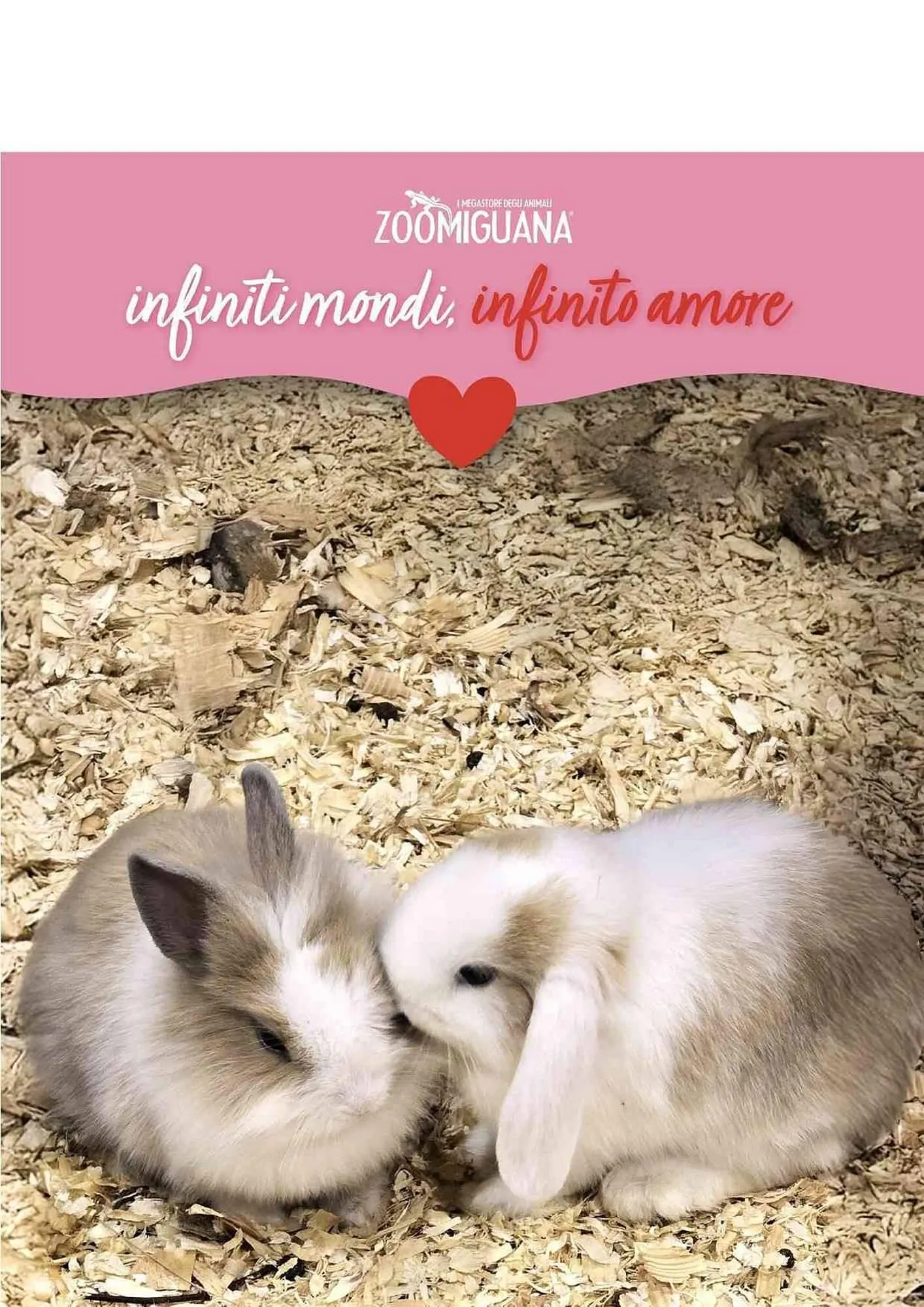 Volantino Zoomiguana da 15 febbraio a 1 marzo di 2026 - Pagina del volantino 2