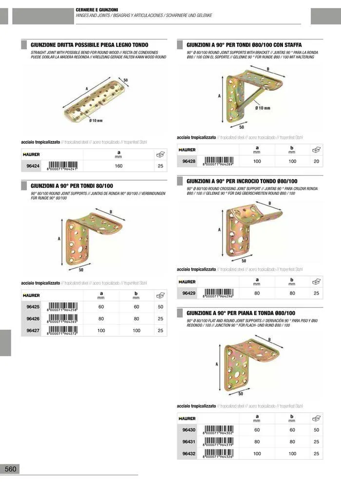 Catalogo Generale da 10 gennaio a 13 maggio di 2025 - Pagina del volantino 561