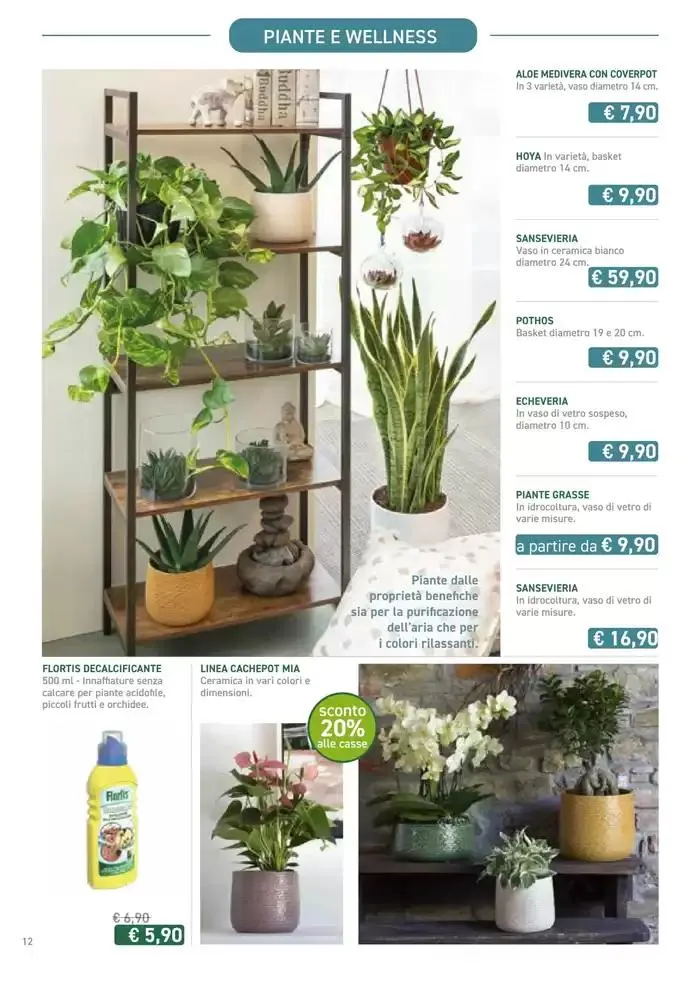 Festa di Primavera da 13 marzo a 13 aprile di 2025 - Pagina del volantino 12